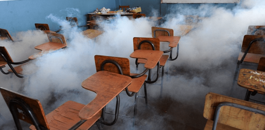 Come Eliminare la Presenza di Blatte nelle Scuole?<span class=
