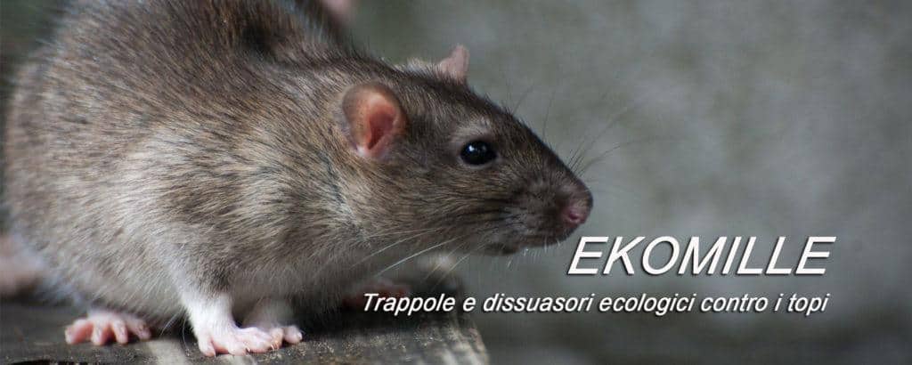 Il sistema ecologico ekomille.