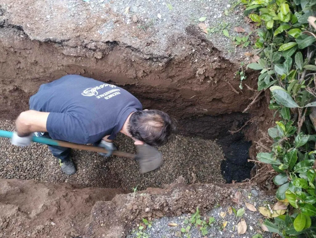 ripristino drenaggio fossa biologica minerva 10